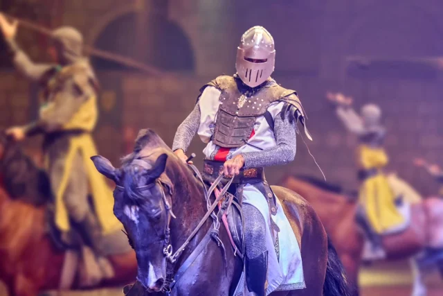 His mask contains all his mind and protects him in battle ⚔️

A blow to the face in combat can be deadly! Great shot @photoeire we love it 🥰

Su máscara contiene toda su mente y lo protege en la batalla ⚔️ ¡Un golpe en la cara en combate puede ser mortal! ¡Genial foto, @photoeire, nos encanta! 🥰

#medievallife 
#knightsonhorseback 
#caballero 
#medievaltimes
#castlelife
#surdetenerife 
#ilovetenerife